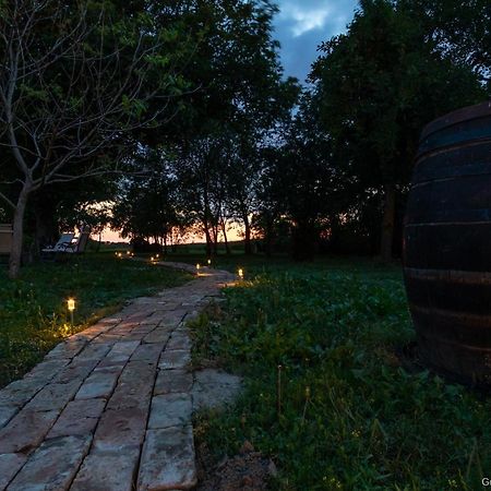Pannonia Terranova Hotell Vardarac Eksteriør bilde