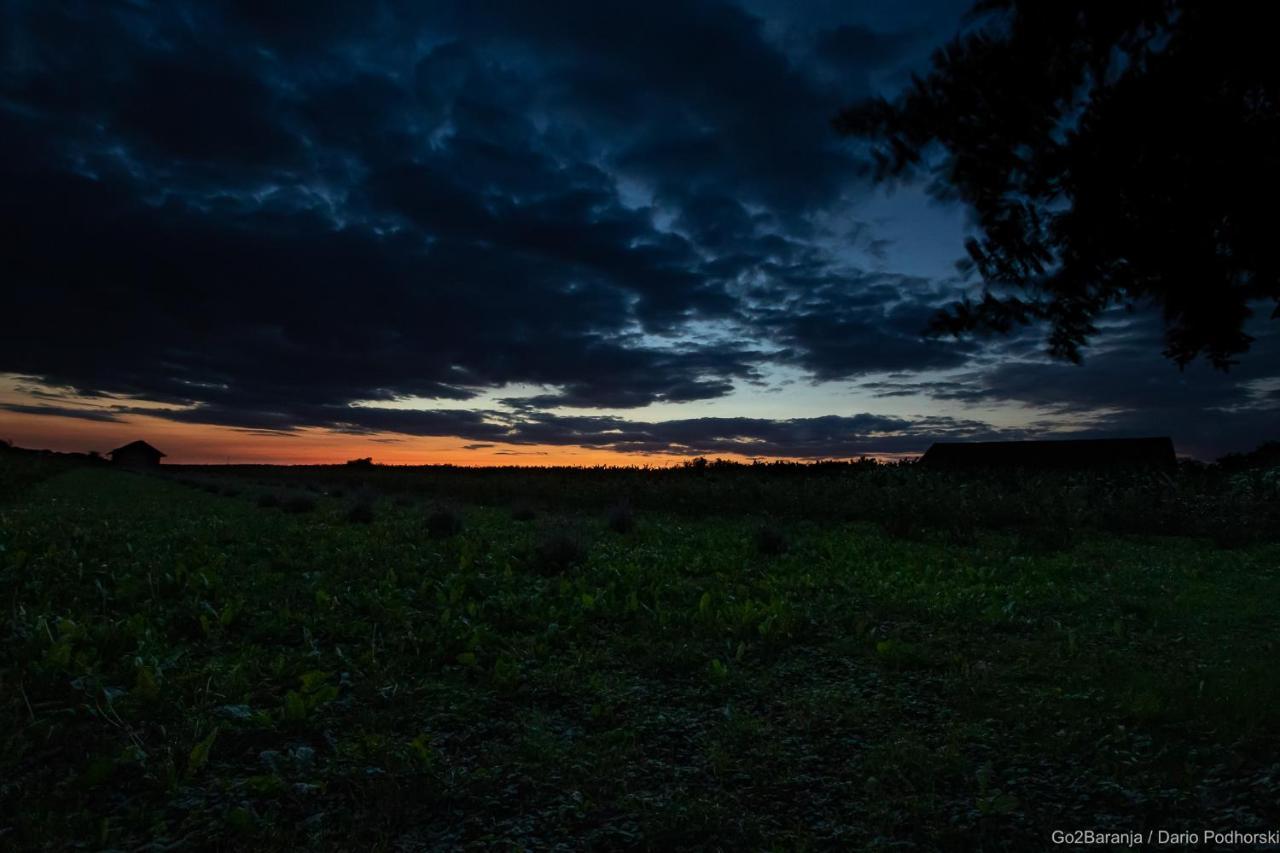 Pannonia Terranova Hotell Vardarac Eksteriør bilde