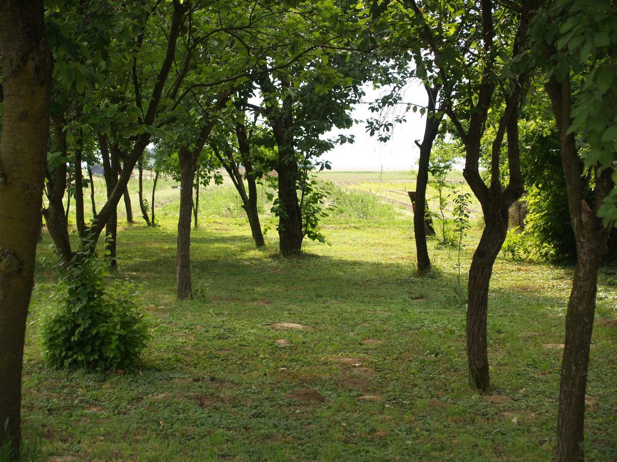 Pannonia Terranova Hotell Vardarac Eksteriør bilde
