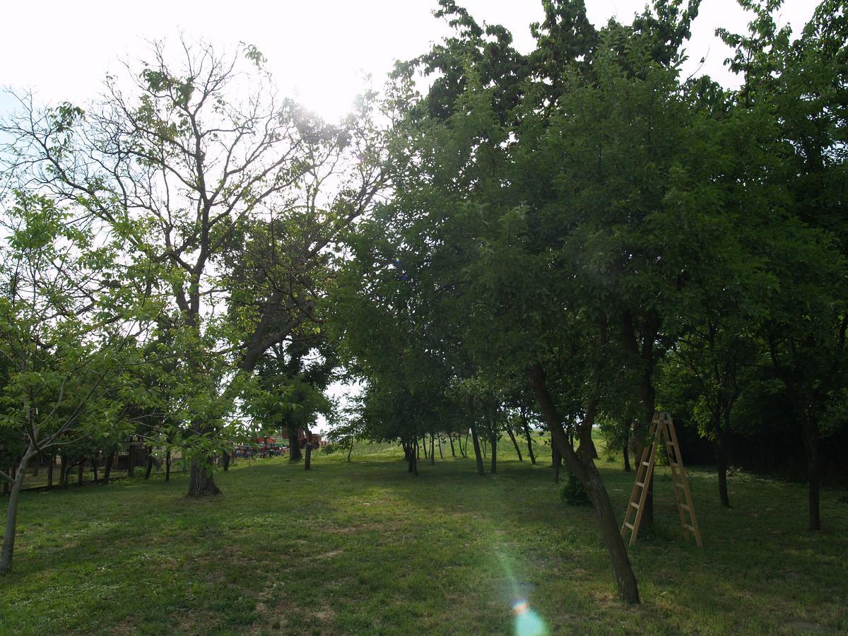 Pannonia Terranova Hotell Vardarac Eksteriør bilde